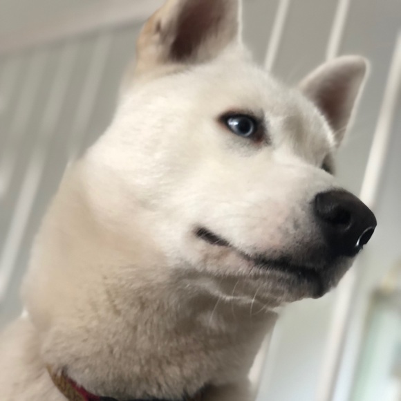 _ajg_